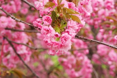 南通如东6线下个人借款平台一站式服务，轻松解决资金难题