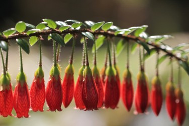南通如东6零用贷短借：轻松解决临时资金需求