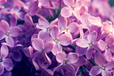 南通如东6企业急用钱贷款攻略：快速融资解燃眉之急